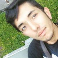 Profissional - Bruno P.