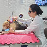 Profissional - Débora A.