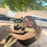 Foto do profissional