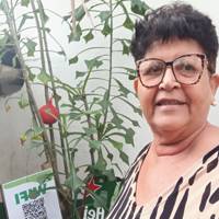 Profissional - Rosangela N.