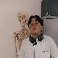 Profissional - Lucas M.