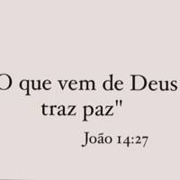 Profissional - Sofia S.