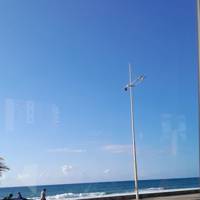 Profissional - Cátia S.