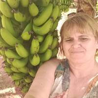 Profissional - Francisca A.