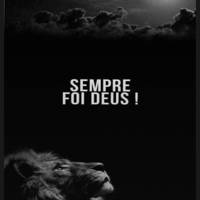 Profissional - Odineia S.