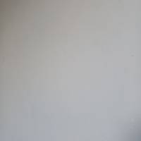 Profissional - Eline S.