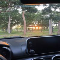 Profissional - Larissa G.