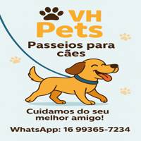 Profissional - Victor C.