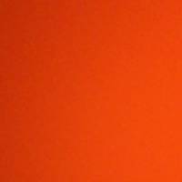 Profissional - Ester L.
