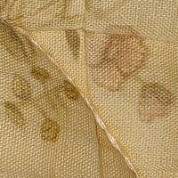 Profissional - Ilda S.