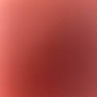 Profissional - Rosenilde R.