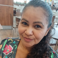 Profissional - Rosimeire B.