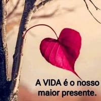 Profissional - Luceli V.