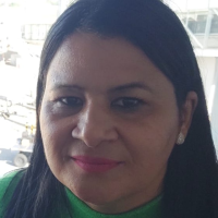 Profissional - Ilma S.