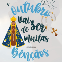 Profissional - Renata N.