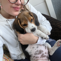 Profissional - Nathalia O.