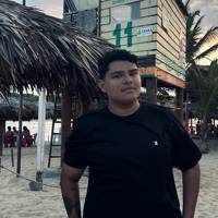 Profissional - Michael S.