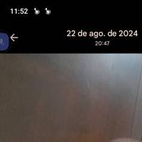 Profissional - Luiz F.