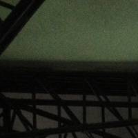 Profissional - Karla N.