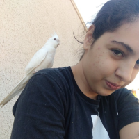 Profissional - Jordana M.