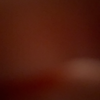 Profissional - Yasmim L.