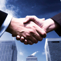 Profissional - Lovani N.