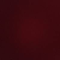 Profissional - Manuela O.