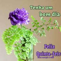 Profissional - Regina C.
