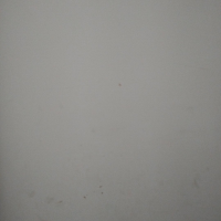 Profissional - Débora S.