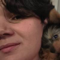 Profissional - Priscila O.