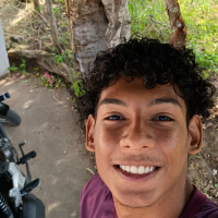 Profissional - Victor S.
